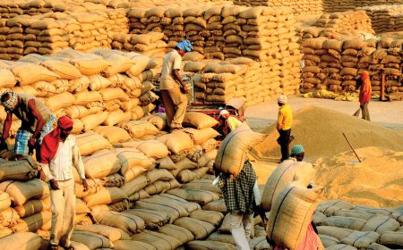 Uttarpradesh: 1 नवंबर से पूर्वी यूपी में शुरू होगी धान खरीद, किसानों को मिलेगा बढ़ा हुआ एमएसपी