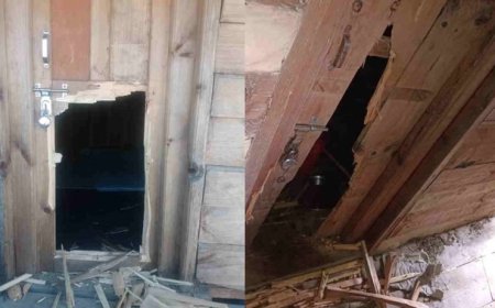 Uttarakhand: उत्तराखंड के पहाड़ी गांवों में भालू के आतंक से दहशत में लोग रात भर जागकर कर रहे पहरेदारी