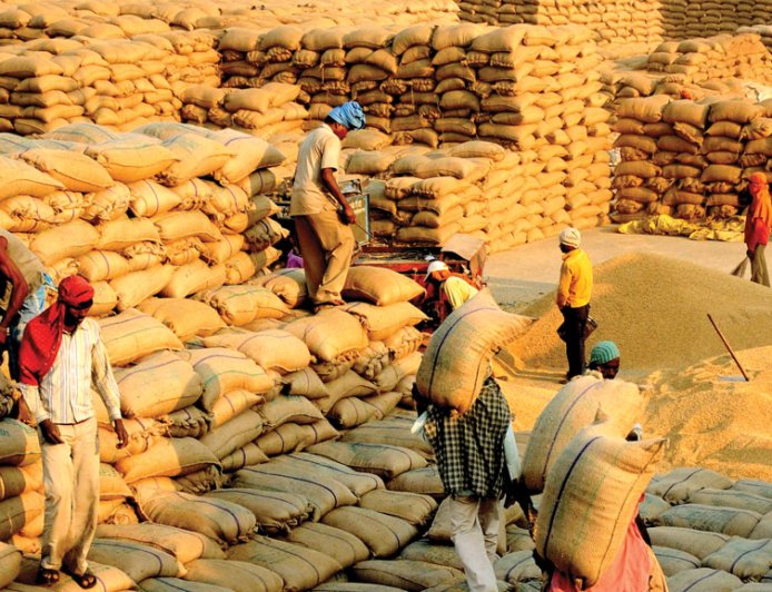 Uttarpradesh: 1 नवंबर से पूर्वी यूपी में शुरू होगी धान खरीद, किसानों को मिलेगा बढ़ा हुआ एमएसपी