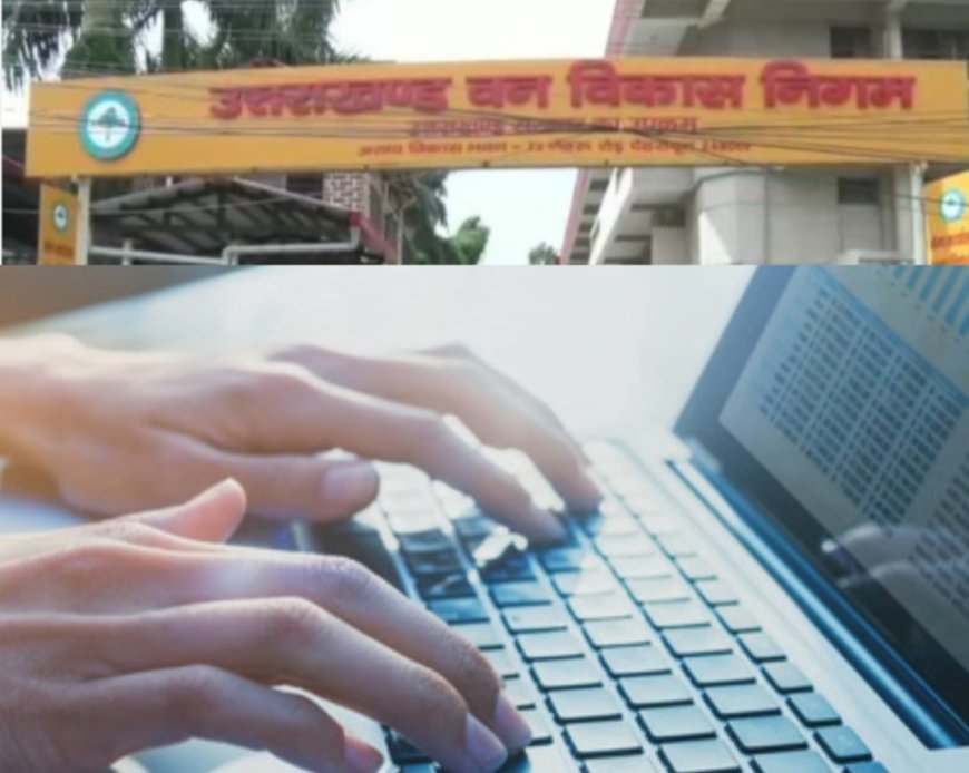 वन निगम का ‘शातिर’ ऑपरेटर—26 महीने में ऐसा खेल कि अफसर भी दंग! भ्रष्टाचार का जाल बुनकर करोड़ों की व्यवस्था हिला दी; विभाग ने बर्खास्त कर किया ब्लैकलिस्ट