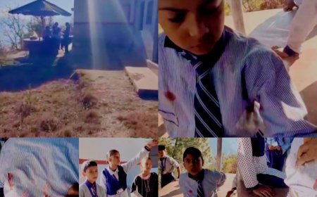 स्कूल में घुसा भालू….सहमे बच्चे, कमरों में छिपे, दरवाज़ा तोड़ एक मासूम को उठा ले गया भालू,मची चीख पुकार , शिक्षकों और बच्चों की बहादुरी से बची मासूम की जान।