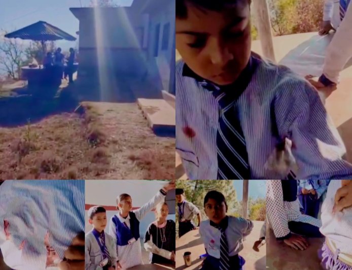 स्कूल में घुसा भालू….सहमे बच्चे, कमरों में छिपे, दरवाज़ा तोड़ एक मासूम को उठा ले गया भालू,मची चीख पुकार , शिक्षकों और बच्चों की बहादुरी से बची मासूम की जान।