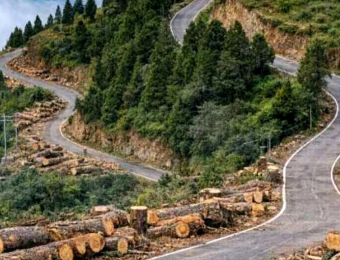 𝗕𝗜𝗚 𝗕𝗥𝗘𝗔𝗞𝗜𝗡𝗚। चंपावत में प्रस्तावित बाईपास निर्माण की कीमत 1882 देवदार!, 220 करोड़ की परियोजना, 9.87 किमी लंबा बाईपास, विकास बनाम पर्यावरण की जंग तेज।