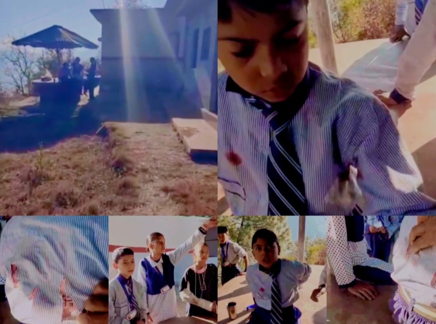 स्कूल में घुसा भालू….सहमे बच्चे, कमरों में छिपे, दरवाज़ा तोड़ एक मासूम को उठा ले गया भालू,मची चीख पुकार , शिक्षकों और बच्चों की बहादुरी से बची मासूम की जान।