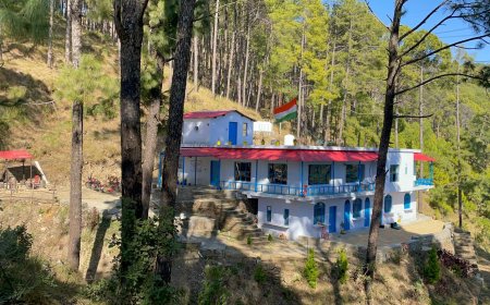 होमस्टे चला रहे पत्रकार को ढाई साल से नहीं मिला पानी, शिकायत के बाद थमाया ₹92 हजार का बिल