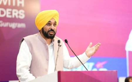 Punjab: वैज्ञानिकों के प्रयोगों का नुकसान अब नहीं सहेंगे किसान मुख्यमंत्री ने कृषि विश्वविद्यालय के कार्यक्रम में दी कड़ी चेतावनी