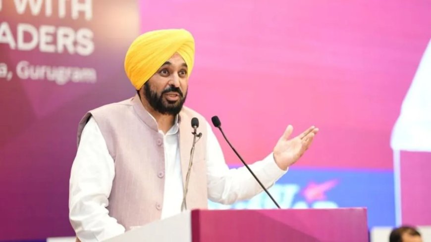Punjab: वैज्ञानिकों के प्रयोगों का नुकसान अब नहीं सहेंगे किसान मुख्यमंत्री ने कृषि विश्वविद्यालय के कार्यक्रम में दी कड़ी चेतावनी