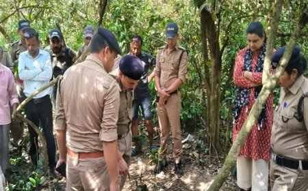 खटीमा में बाघ का आतंक: सुरई वन रेंज में बुजुर्ग महिला को बनाया निवाला, दहशत में ग्रामीण