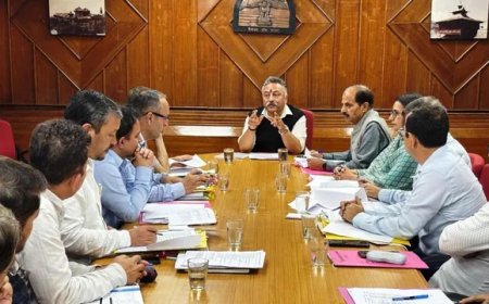 हिमाचल प्रदेश में स्थापित होगा देश का आधुनिक एआई विश्वविद्यालय, अपनाया जाएगा जम्मू-कश्मीर मॉडल